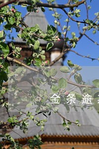 金条逾期说要上门催款怎么办 金条逾期说要上门催款怎么办