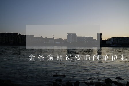 金条逾期说要访问单位怎么办 金条逾期说要访问单位怎么办