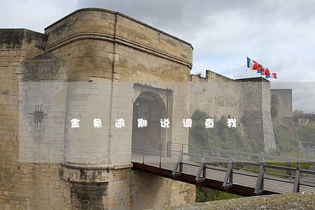 金条逾期说调查我 金条逾期说调查我
