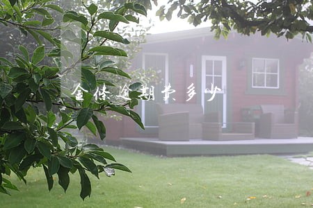 金条逾期费多少 金条逾期费多少