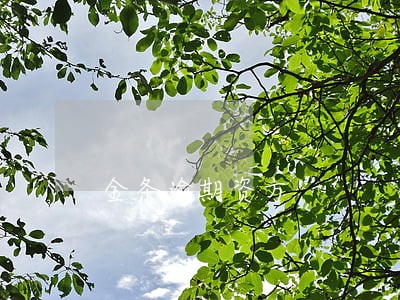 金条逾期资方 金条逾期资方