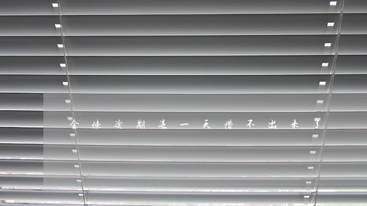 金条逾期过一天借不出来了 金条逾期过一天借不出来了