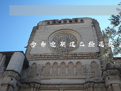 金条逾期过已经还款后续借不了了 金条逾期过已经还款后续借不了了