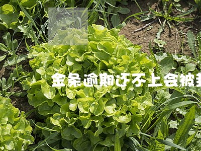 金条逾期还不上会被封储蓄卡么