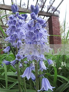 金条逾期还会打电话给公司 金条逾期还会打电话给公司