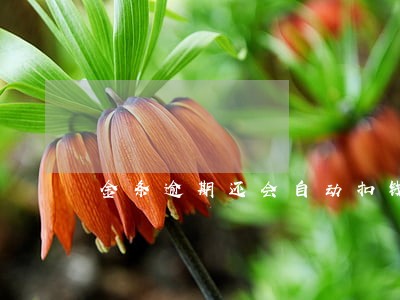 金条逾期还会自动扣钱嘛 金条逾期还会自动扣钱嘛
