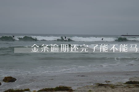 金条逾期还完了能不能马上借 金条逾期还完了能不能马上借