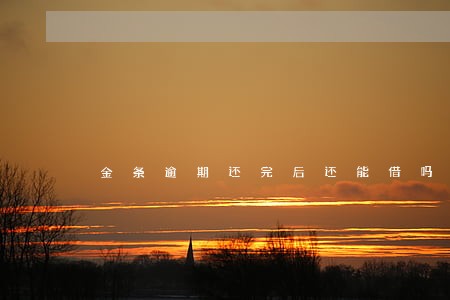 金条逾期还完后还能借吗 金条逾期还完后还能借吗