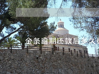 金条逾期还款后多久恢复 金条逾期还款后多久恢复