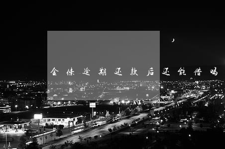 金条逾期还款后还能借吗 金条逾期还款后还能借吗