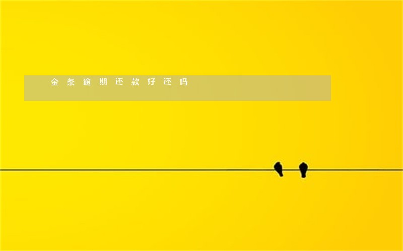 金条逾期还款好还吗 金条逾期还款好还吗
