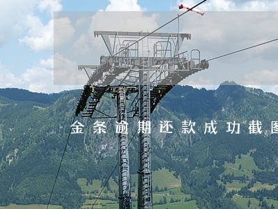 金条逾期还款成功截图 金条逾期还款成功截图