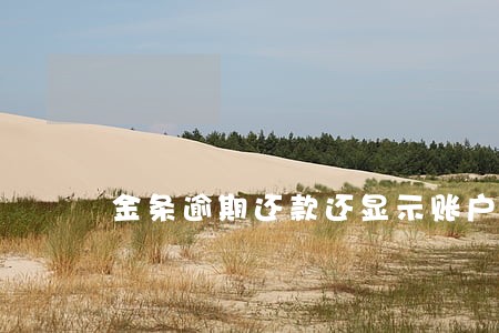 金条逾期还款还显示账户逾期 金条逾期还款还显示账户逾期