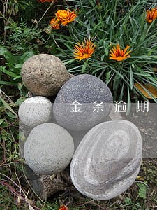 金条逾期还清后多久能恢复使用 金条逾期还清后多久能恢复使用