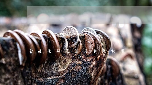 金条逾期还清后多久能用 金条逾期还清后多久能用