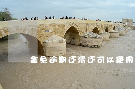 金条逾期还清还可以使用吗 金条逾期还清还可以使用吗