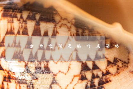 金条逾期还能开店铺吗 金条逾期还能开店铺吗