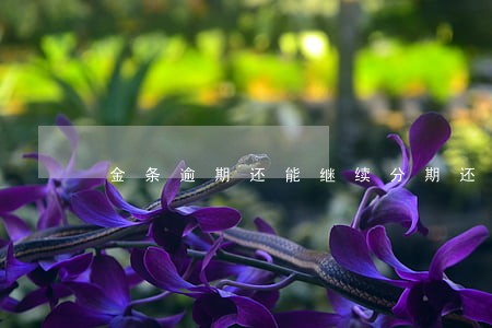 金条逾期还能继续分期还款吗 金条逾期还能继续分期还款吗