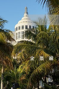 金条逾期通知还全款就必须还吗 金条逾期通知还全款就必须还吗