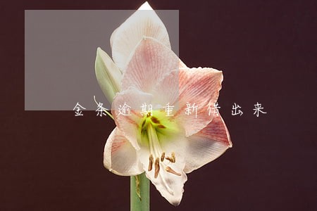 金条逾期重新借出来 金条逾期重新借出来