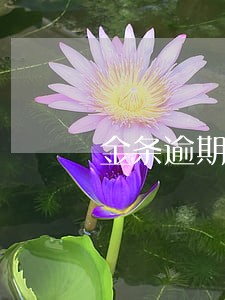 金条逾期银行要求全部还完 金条逾期银行要求全部还完