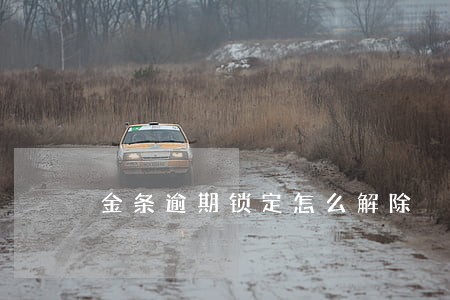 金条逾期锁定怎么解除 金条逾期锁定怎么解除
