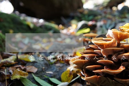 金条逾期骚扰家人怎么办 金条逾期骚扰家人怎么办