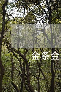 金条金条能逾期多久 金条金条能逾期多久