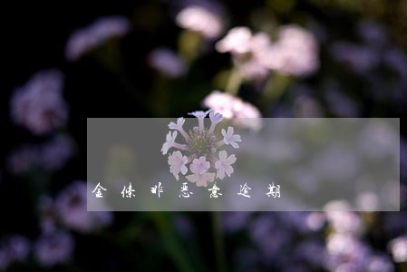 金条非恶意逾期 金条非恶意逾期
