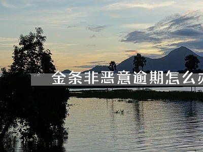 金条非恶意逾期怎么办 金条非恶意逾期怎么办