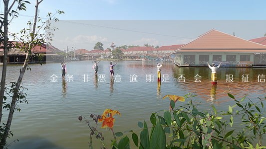金条非恶意逾期是否会上报征信 金条非恶意逾期是否会上报征信