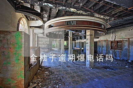金柚子逾期爆电话吗 金柚子逾期爆电话吗