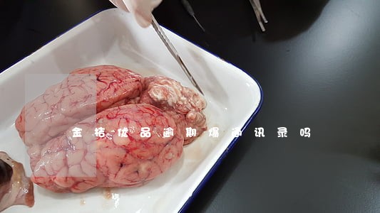 金桔优品逾期爆通讯录吗 金桔优品逾期爆通讯录吗
