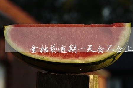 金桔贷逾期一天会不会上征信 金桔贷逾期一天会不会上征信