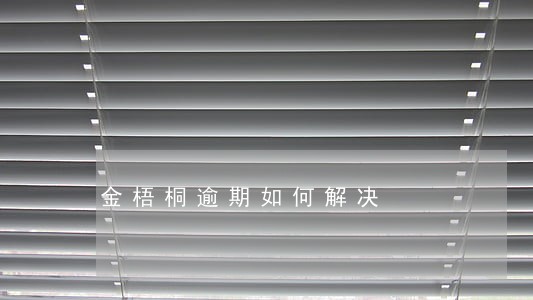 金梧桐逾期如何解决
