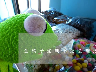 金橘子逾期不还会爆通讯录吗 金橘子逾期不还会爆通讯录吗