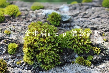 金步摇app借款逾期