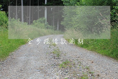 金步摇借款逾期 金步摇借款逾期