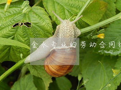 金水专业的劳动合同律师电话咨询 金水专业的劳动合同律师电话咨询