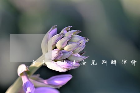 金水区快速会见刑辩律师 金水区快速会见刑辩律师