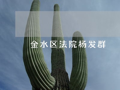 金水区法院杨发群