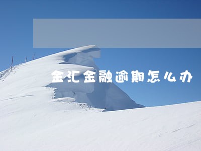 金汇金融逾期怎么办 金汇金融逾期怎么办