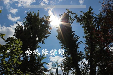 金泳锋律师 金泳锋律师