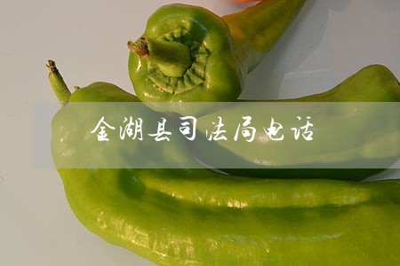 金湖县司法局电话 金湖县司法局电话
