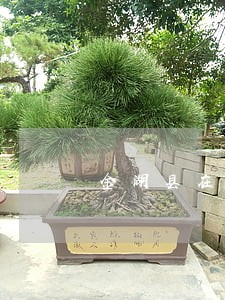 金湖县在线律师