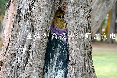 金湾外商投资律师咨询电话 金湾外商投资律师咨询电话