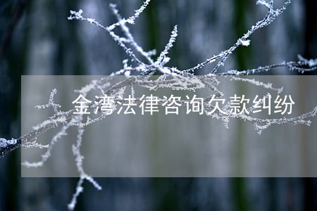 金湾法律咨询欠款纠纷