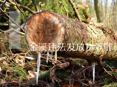 金溪违法发放贷款罪律师 金溪违法发放贷款罪律师
