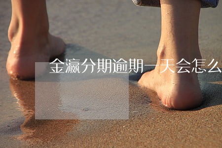 金瀛分期逾期一天会怎么样 金瀛分期逾期一天会怎么样