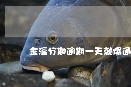 金瀛分期逾期一天就爆通讯录 金瀛分期逾期一天就爆通讯录